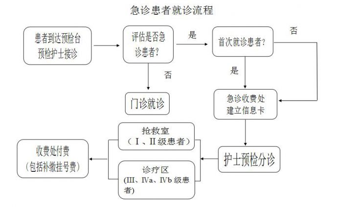 急診患者就診流程1.jpg